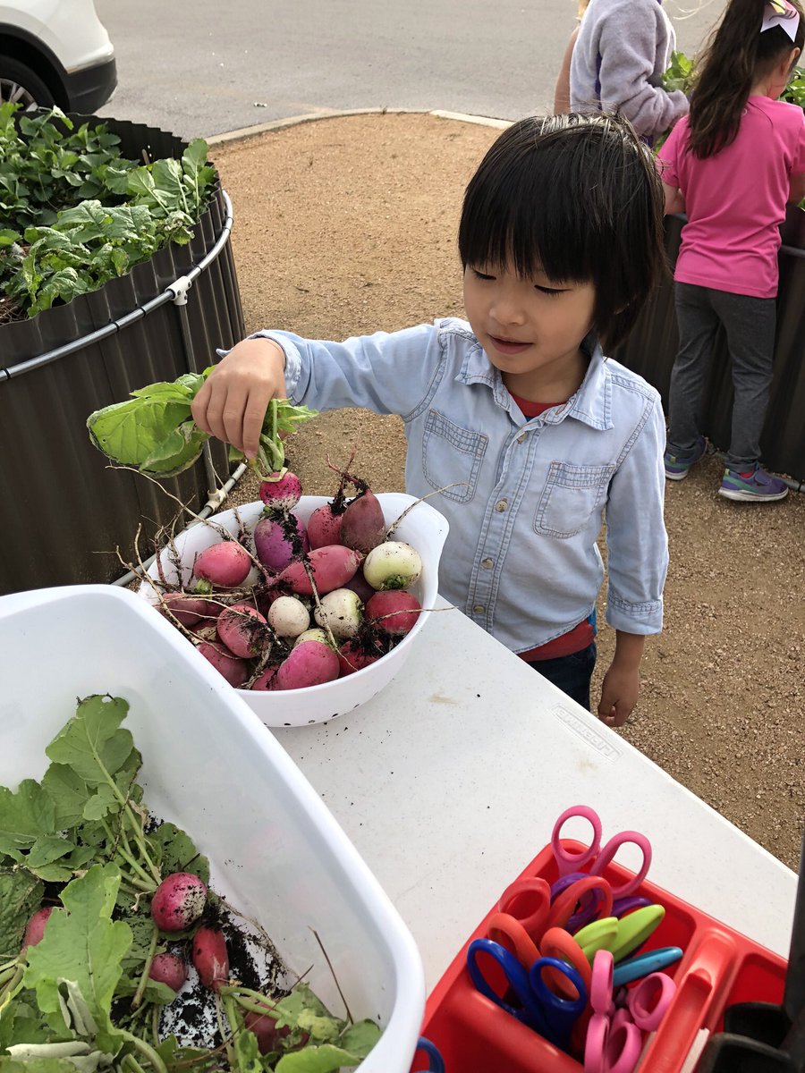 kelliepeden tweet media