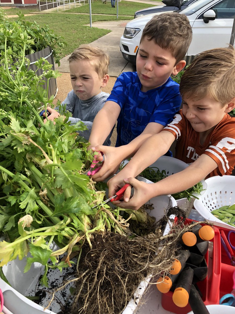 kelliepeden tweet media