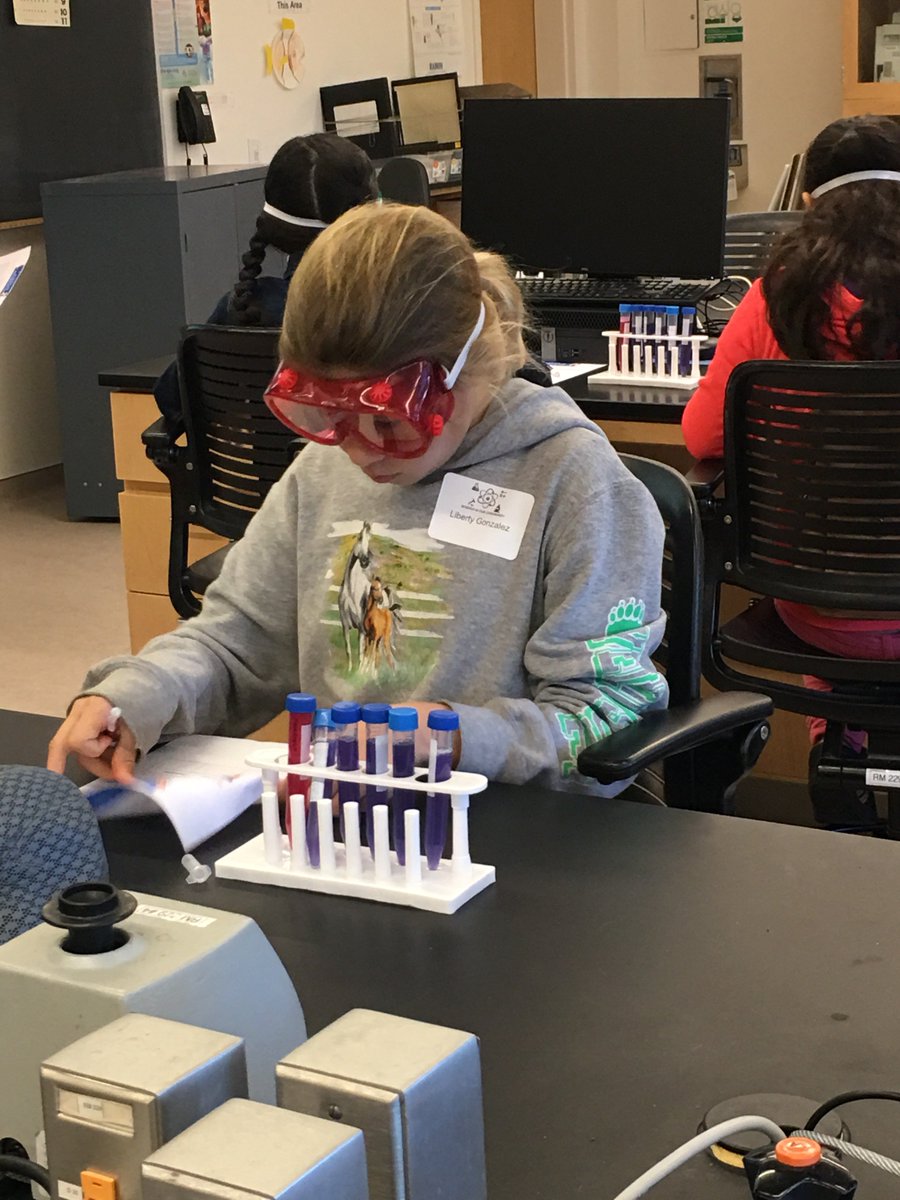 ScienceInOurCo1's tweet photo. Cunningham Elementary School students explore Biology, Chemistry, and Engineering during the Junior Scientist with the STEM Ambassadors. #TUSD #stanservicelearning #stanstate @cunninghamsoars https://t.co/wEQcSDqIcn
