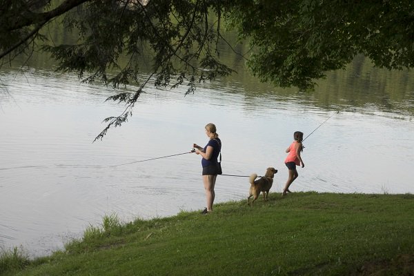 OhioDivWildlife's tweet photo. #FishingBasics: #ShoreFishing. The main advantage of fishing from shore is that almost everyone has access to a spot that's close to home. Find simple tips about how to shore fish from https://t.co/bn9cvWObc6: https://t.co/4OheDXXTQY #fishohio #learntofish #familyfishing https://t.co/PLyd1gIVQN