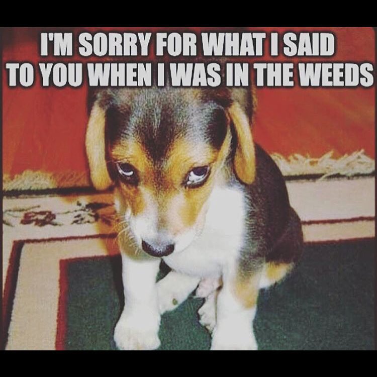 Kitchen_May_I's tweet photo. TRUEEEEE     a little bit of meme content  for the soul,  #serverlife #patioseason #patioszn #servers #server https://t.co/YskZbI6iqI