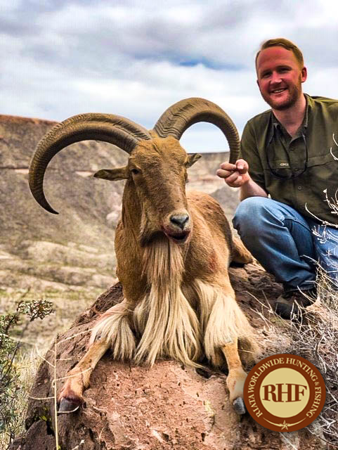 riataworldwide's tweet photo. Congrats to our client & friend Todd H. & his group went 3 for 3 on wild, free range,fair chase Auodad mountain sheep up to 32”. Alpine, TX
mike@riatahuntfish.com IG @riata_hunting #hunting #freerangehunting https://t.co/5agUNw0np9