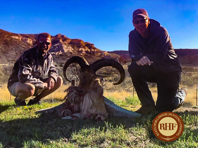riataworldwide's tweet photo. Congrats to our client & friend Todd H. & his group went 3 for 3 on wild, free range,fair chase Auodad mountain sheep up to 32”. Alpine, TX
mike@riatahuntfish.com IG @riata_hunting #hunting #freerangehunting https://t.co/5agUNw0np9