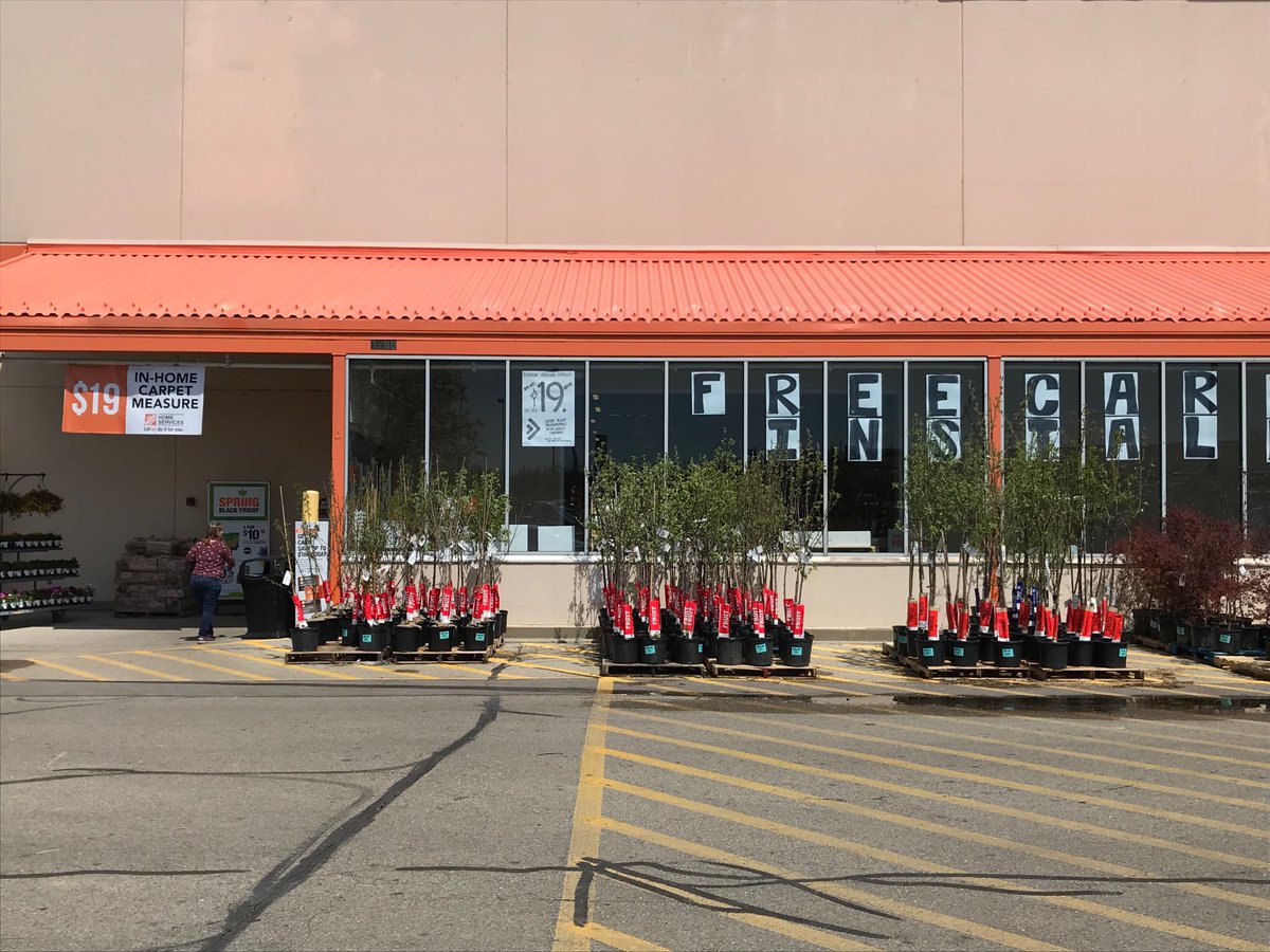 3821 shouting out the $19 Carpet Measure