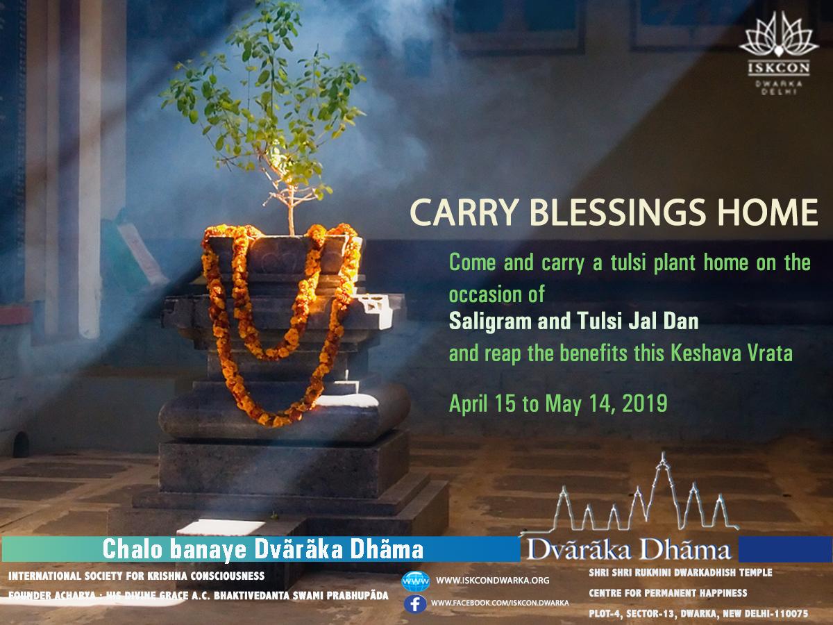 ISKCON_Dwarka's tweet image. Vrndavani, Vrnda, Visvapujita, Puspasara, Nandini, Krsna-Jivani , Visva-Pavani, Tulasi 

Anyone while worshipping Tulasi Devi chants these eight names will get the same result as one who performs the Asvameda Yagna