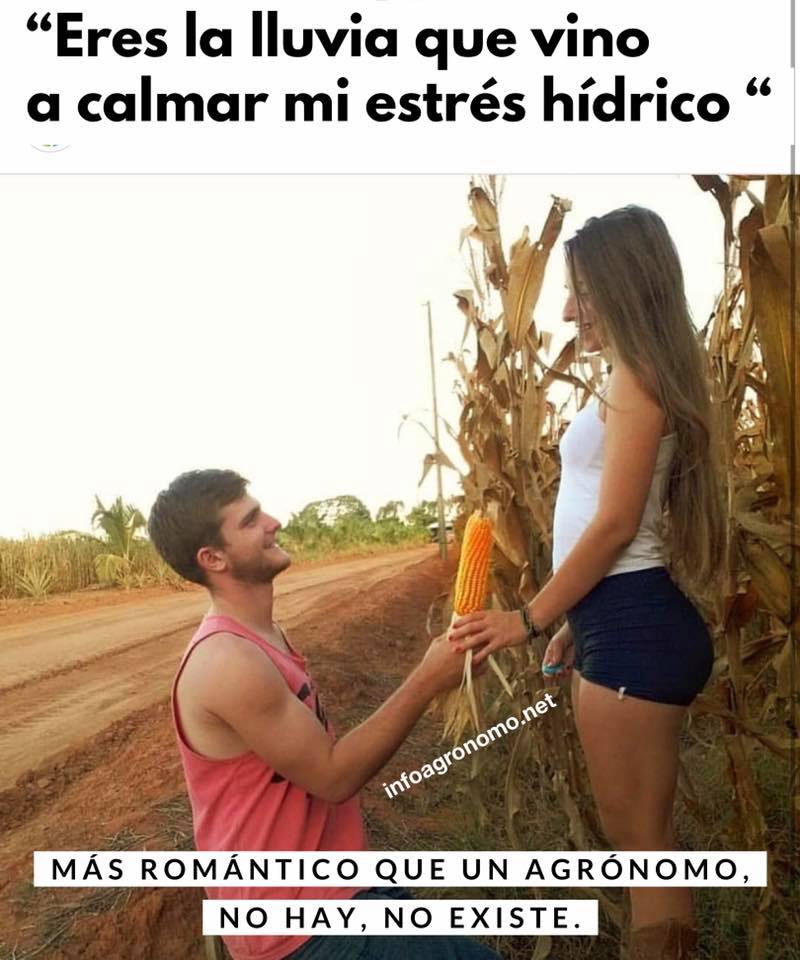 agriculturamex's tweet photo. Así los colegas Agrónomos. https://t.co/HsQXnGwIEE