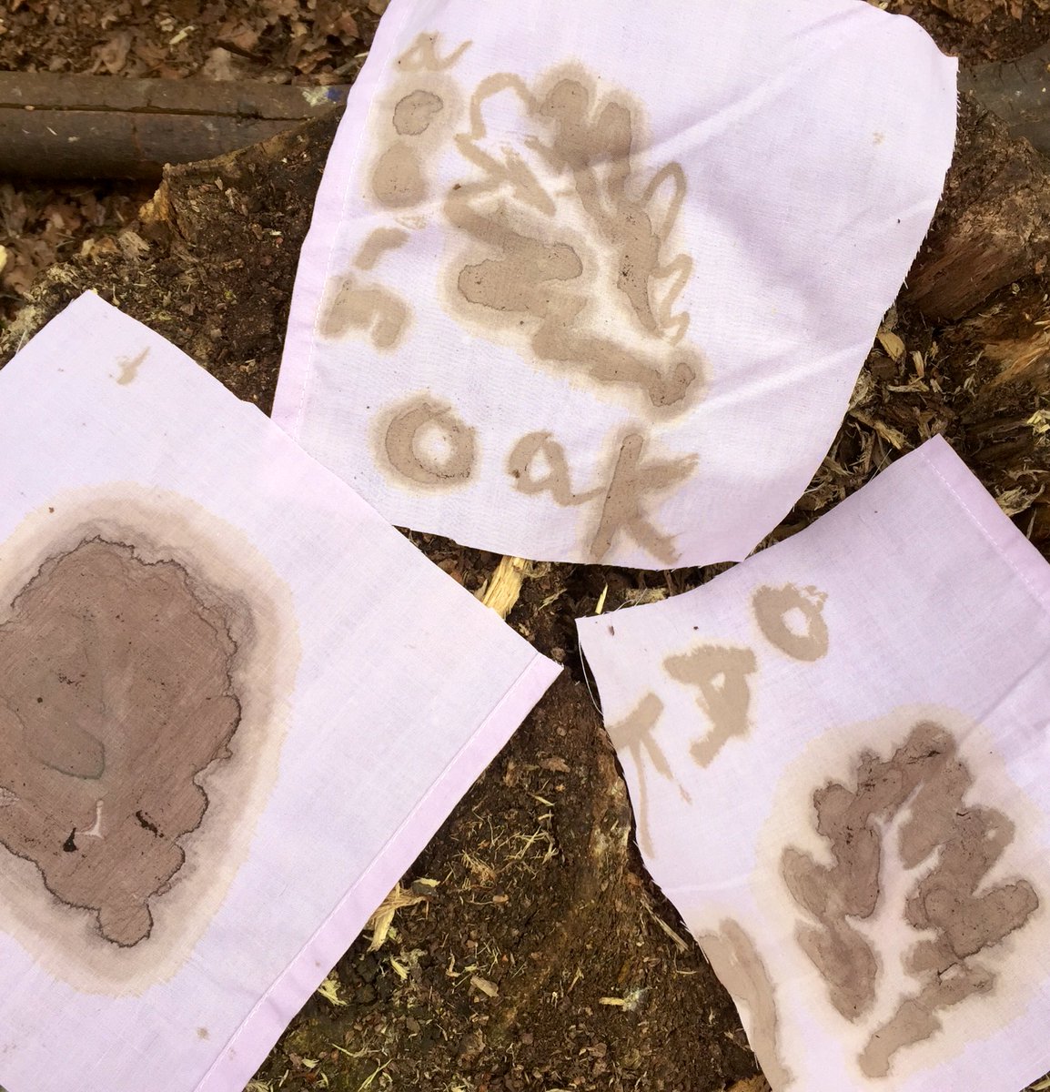 nicolagoddard2's tweet photo. Exploring the #lostwords @perivalewood using oak hall ink in the ancient oak woodland surrounded by bluebells @RobGMacfarlane #bluebells #oak #acorn #envirobmentaleducation @SelborneSoc https://t.co/2hcPexVi30