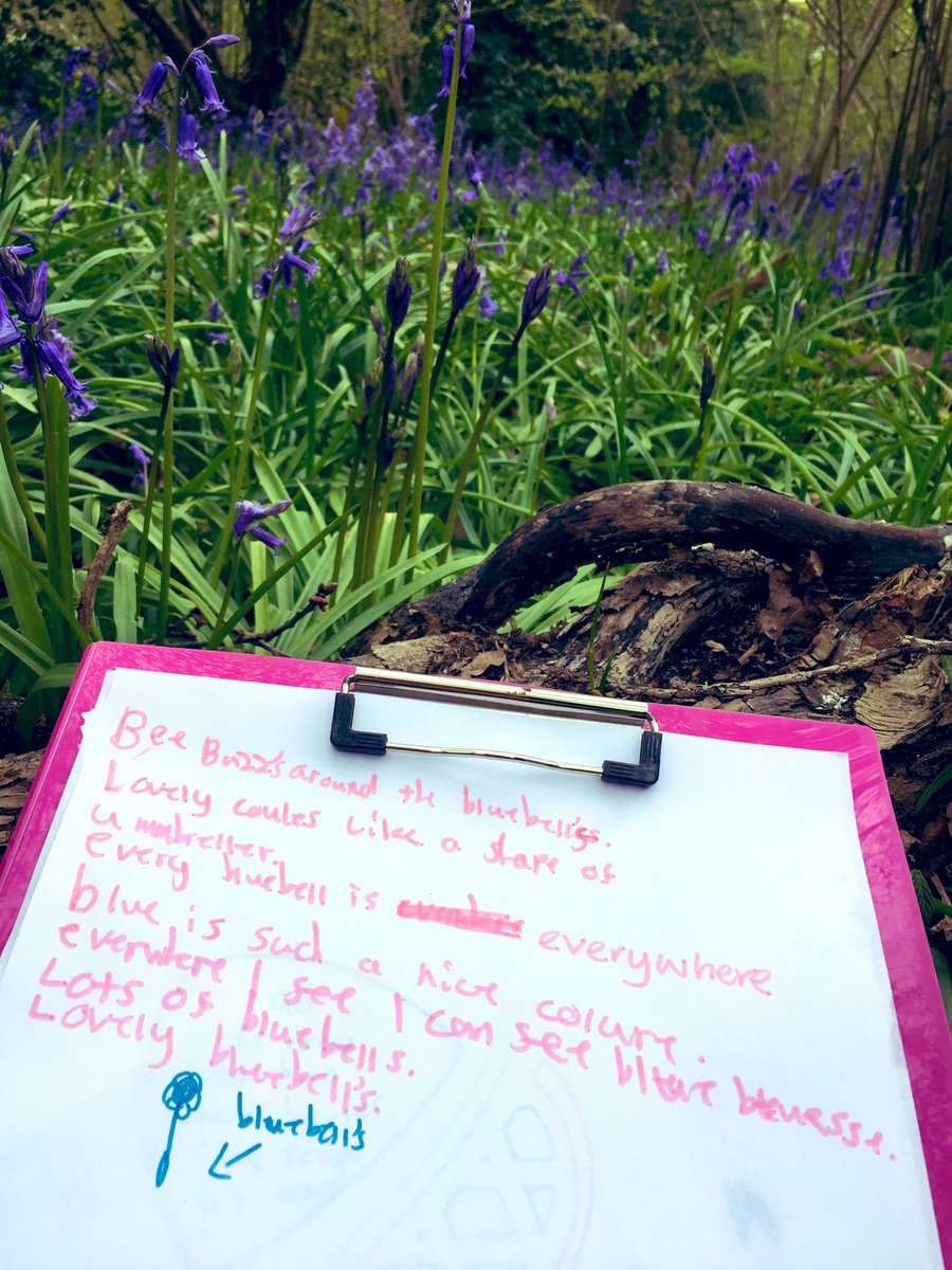 nicolagoddard2's tweet photo. Exploring the #lostwords @perivalewood using oak hall ink in the ancient oak woodland surrounded by bluebells @RobGMacfarlane #bluebells #oak #acorn #envirobmentaleducation @SelborneSoc https://t.co/2hcPexVi30