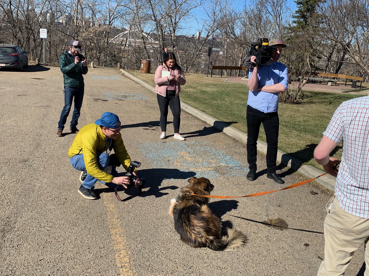 RachelNotley's tweet photo. I went out to vote with the family this morning and Tucker had his first media scrum.
I think he’s been watching a bit too much @VeepHBO and hoping to be the the next mayor of Lurlene. 
Get out and vote today. 
#abvote #FightingForYou https://t.co/o4ruSp2GTb