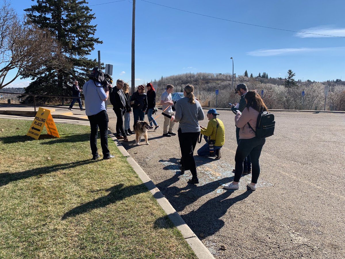 RachelNotley's tweet photo. I went out to vote with the family this morning and Tucker had his first media scrum.
I think he’s been watching a bit too much @VeepHBO and hoping to be the the next mayor of Lurlene. 
Get out and vote today. 
#abvote #FightingForYou https://t.co/o4ruSp2GTb