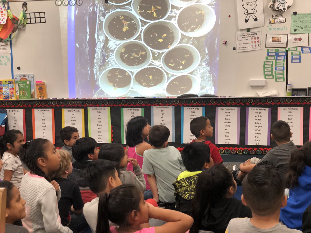 db_dolphins's tweet photo. Unexpected results create opportunities to investigate further. #Danbrook #STEAM #ChooseCESD https://t.co/4vdvpuFogw