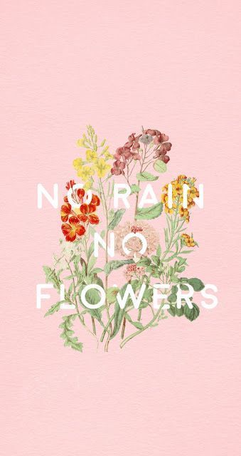 No Rain No Flowers Images  Free Photos PNG Stickers Wallpapers   Backgrounds  rawpixel