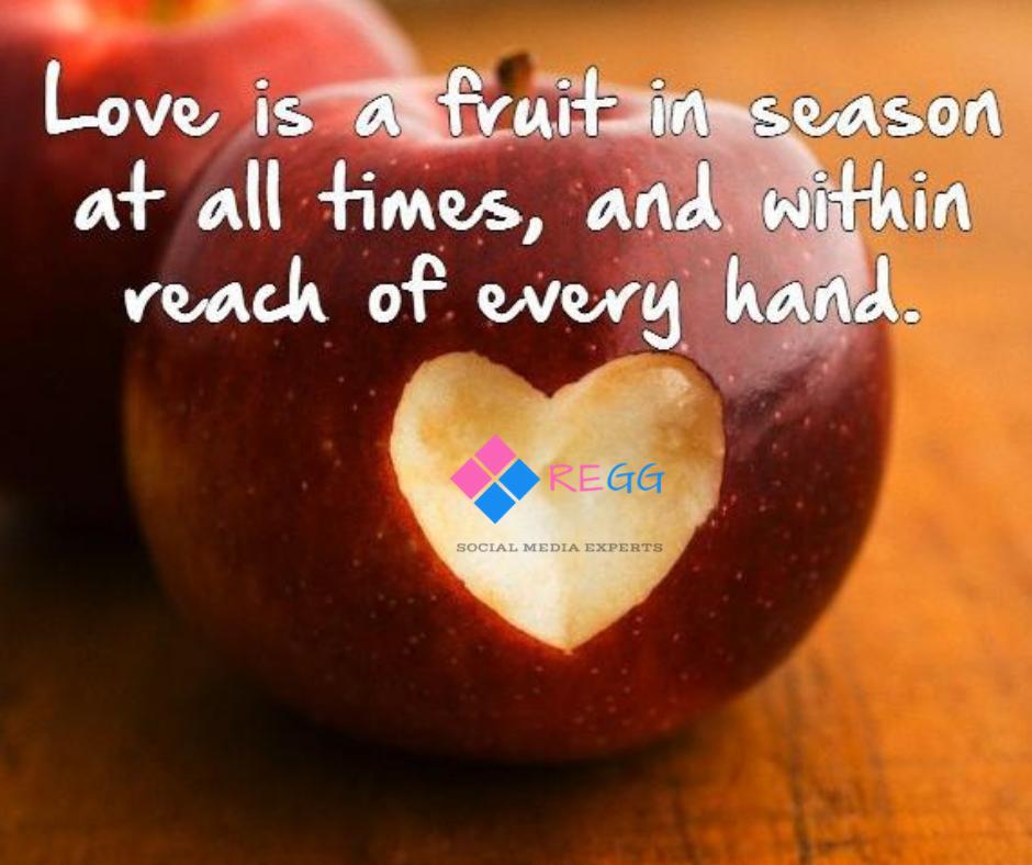 ReggMedia's tweet photo. "Your life is the fruit of your own doing. You have no one to blame but yourself." - JOSEPH CAMPBELL

>>>>> https://t.co/mzBgECb6oI <<<<<

#reggsocialmediaexperts #life #fruit #fruitfulllife #neverstop #motivation #startuplife #entrepreneurlife #zerolimits #highhopes #SocialMedia https://t.co/cMfgPNhkyt