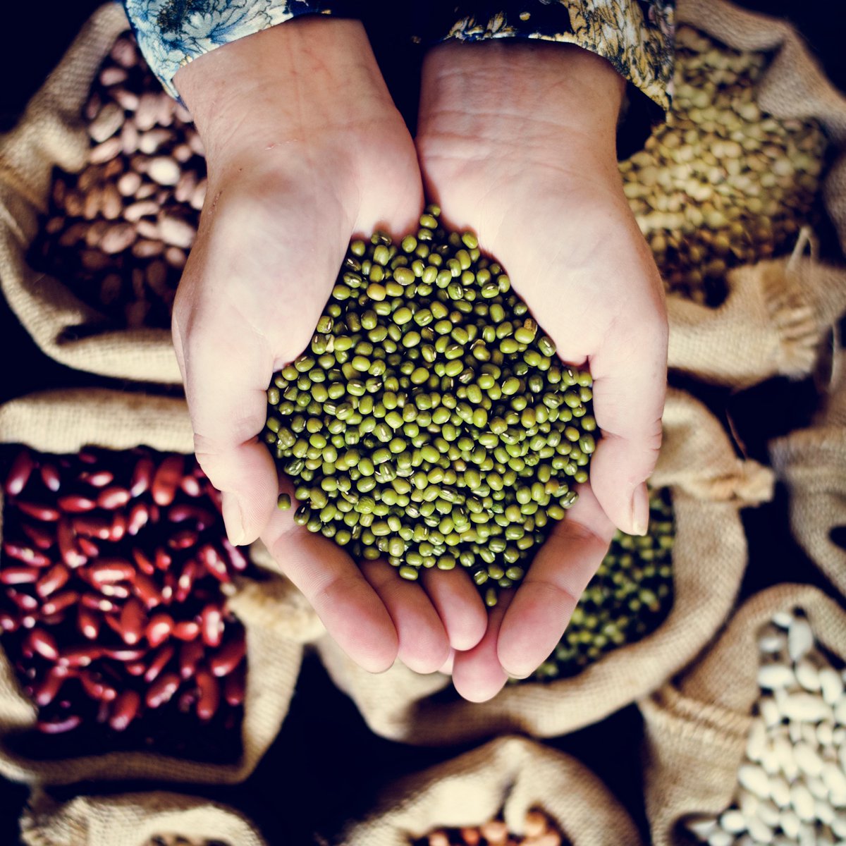 LovePulses's tweet photo. A balanced diet that includes a good percentage of pulses supports your mental and physical well-being and is likely to reduce the risk of multiple diseases.

#FoodIsMedicine
 #EatSmart #LovePulses
🔗https://t.co/rSqvChpCcT https://t.co/mkrVebuc1D