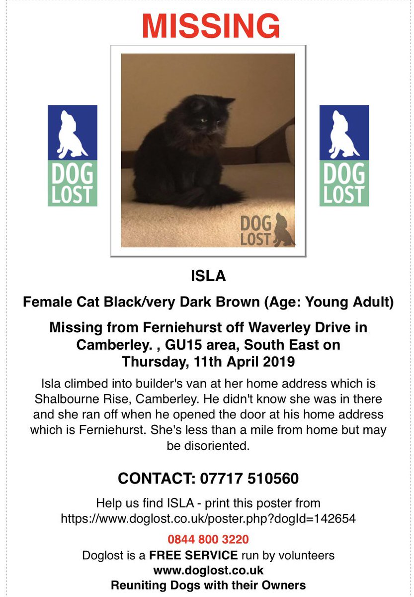 LostPals's tweet photo. #cat #Camberley #Surrey #missing Isla managed to sneak into a builders van and escaped about a mile from home but hasn’t returned home yet. Please RT https://t.co/voSfLwJptn