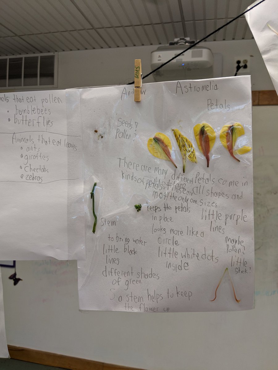 Maria Elena Derrien tweet media