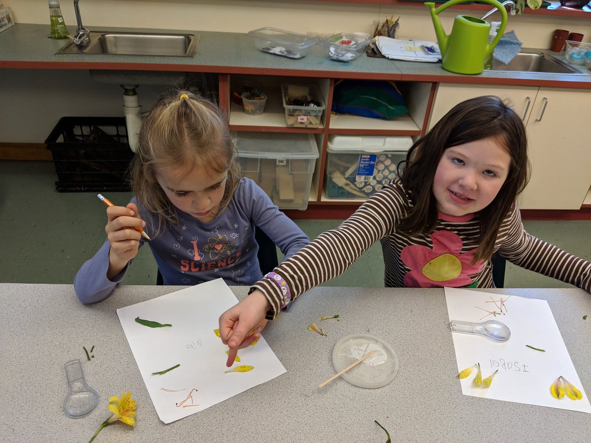 Maria Elena Derrien tweet media