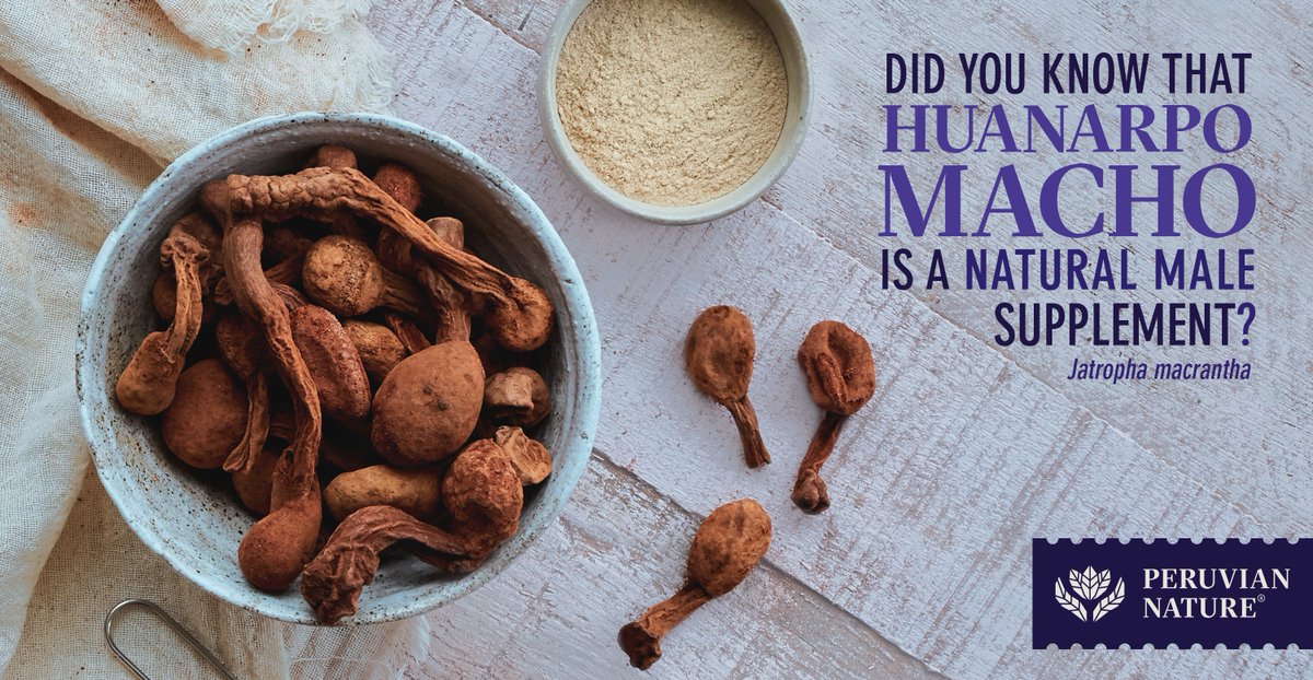 PeruvianNature's tweet photo. Did you know that #huanarpomacho (Bark: Jatropha macrantha &amp; Fungus: Helosis Cayennensis) is a natural male supplement? 😎

It's an excellent invigorating product that increases energy and improves male physical performance. Our presentations: powder, bark, and capsules. https://t.co/MQueI0iZ24
