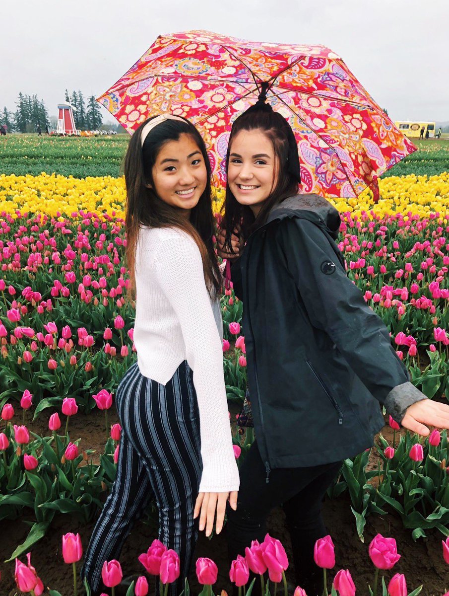 ΑΓΔ•OSU tweet media