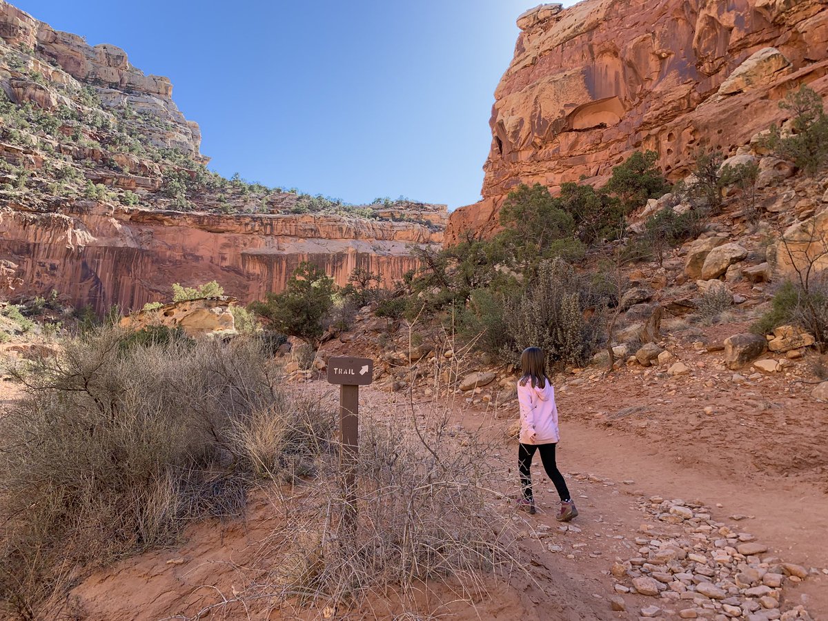 This Saturday April 20th is a Fee Free Day at all National Parks. It’s also National Junior Ranger Day. Go have some fun and earn a badge.