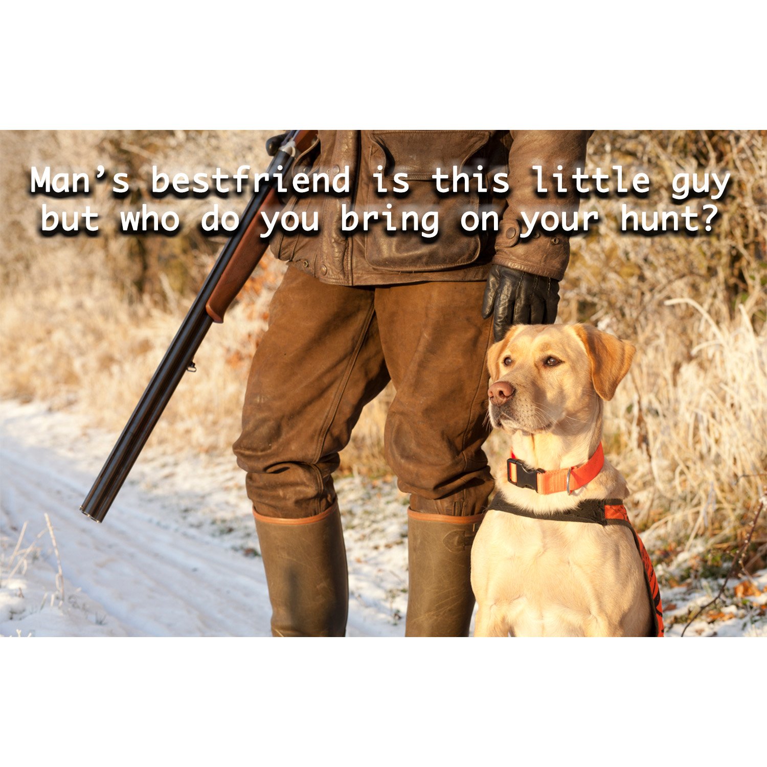 hunting quotes for men