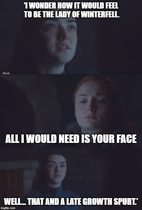 bingeofthrones's tweet photo. #S7E06 #GOT @GameOfThrones 

#AryaStark- half the size, twice the #badass. 

#gameofthronesmemes #keepbinging #forthethrone #season8 #almostthere @Maisie_Williams @SophieT #sansa #winterfell #winteriscoming #warishere #ValarMorghulis #ValarDohaeris @HBO https://t.co/uTh6XNsFt9