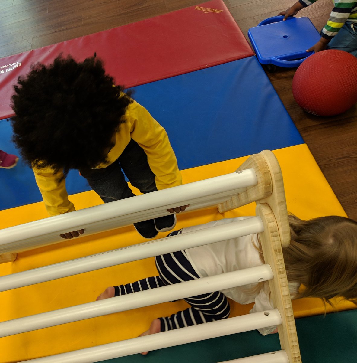 Melissa Kaye Ross tweet media