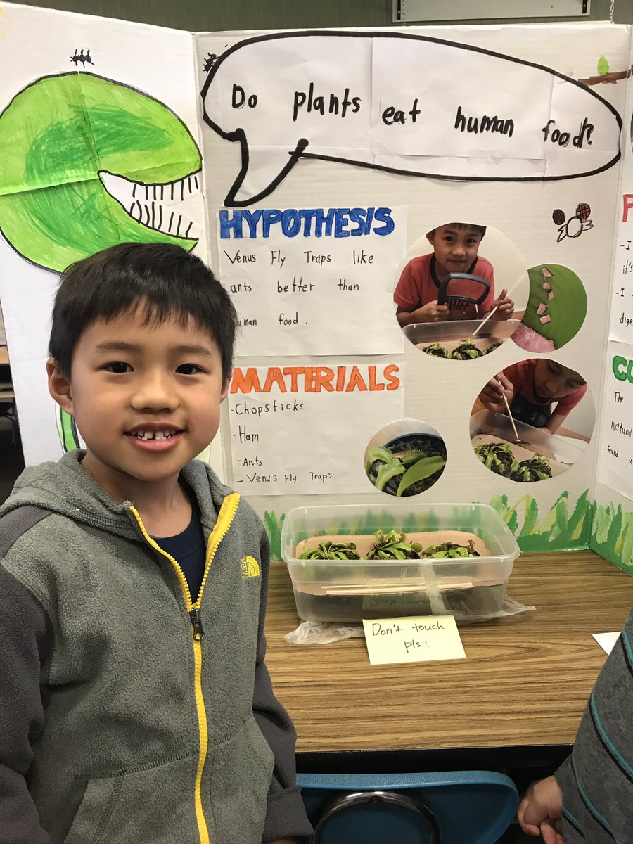 Country Lane tweet media