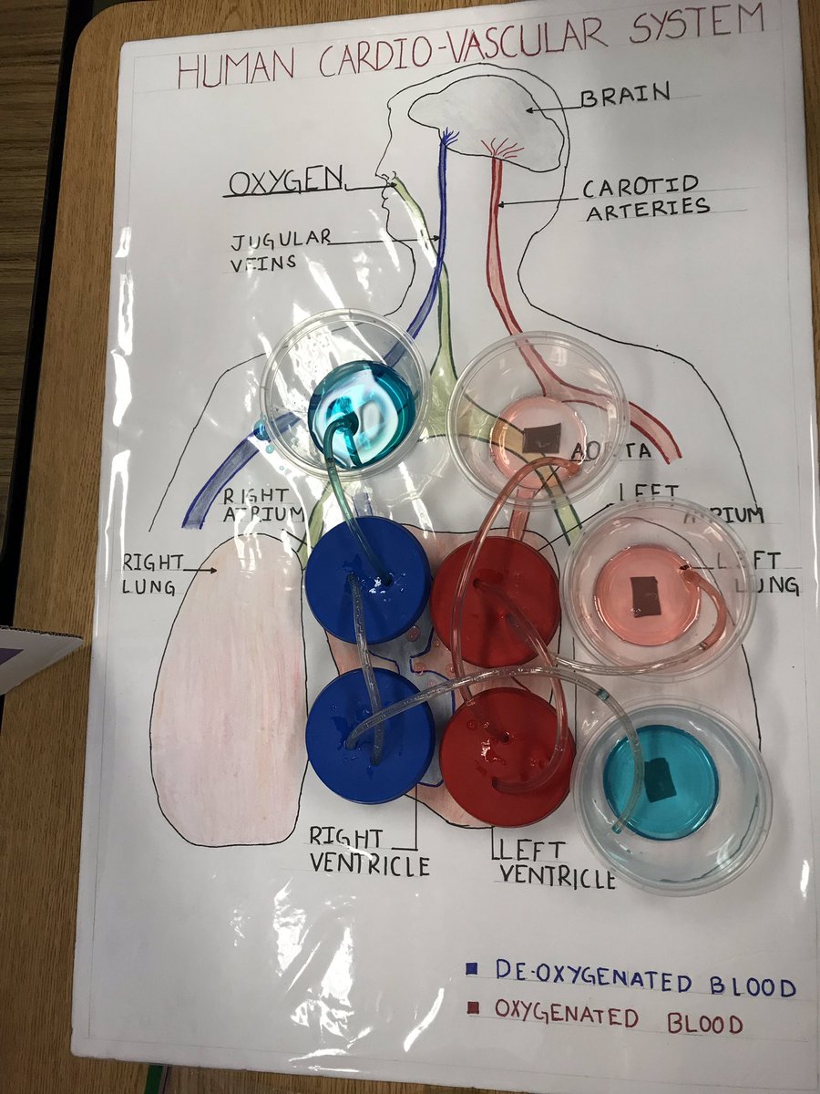 Country Lane tweet media