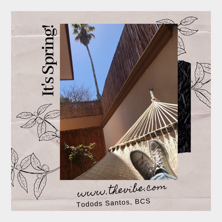 thevibebb's tweet photo. Power nap at our Patio Hammock Suite 🌴
Visit us this Spring at Todos Santos and start feeling The Vibe! 
https://t.co/z3OW6S7czP
.
.
.
#thevibe #bedandbreakfast #hammock #patio #suite #relax #vacation #springbreak #magictown #palm #sunnydays https://t.co/EyJZIw3I8d