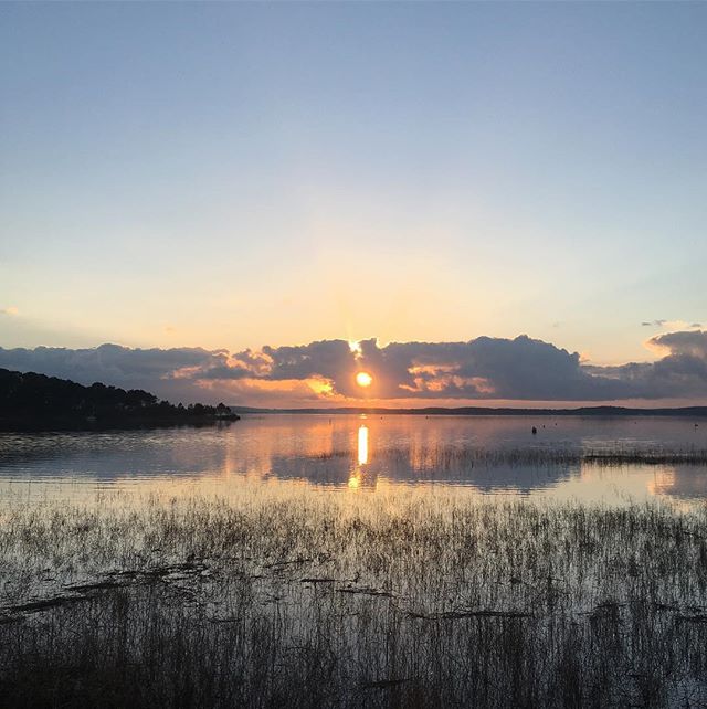 Reposting @mikki_dora:
#lake #lac #nature #landscape #landscapephotography #sunset #coucherdesoleil #medoc #medocatlantique #ocean #oceanesque #lacdelacanau #lacanau #portdelacanau #winter #hiver #plage #beach #light #igersfrance #igersgironde #instagram #nouvelleaquitaine