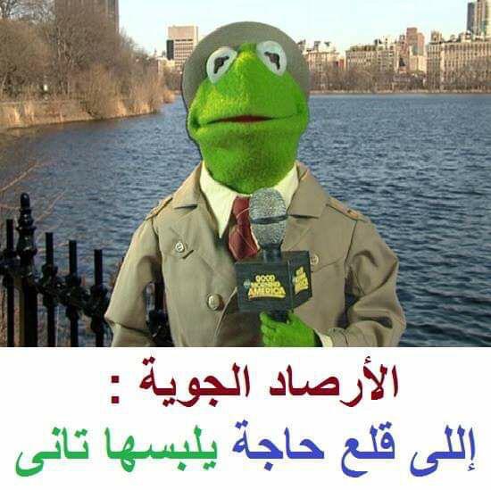 vip__Tonsy's tweet photo. @romasamy300 https://t.co/kU3puCSmxa