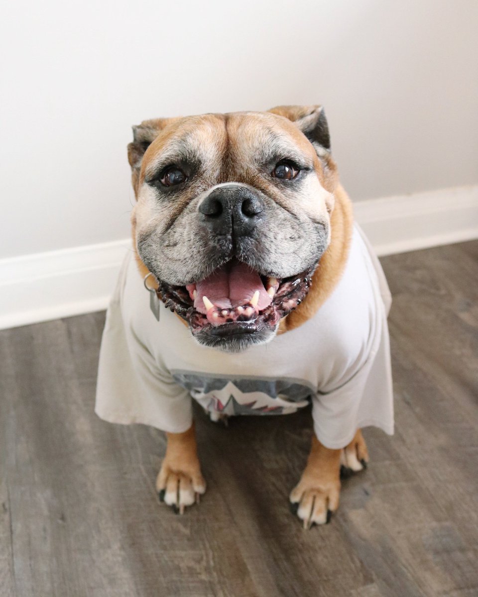 kristAnbremner's tweet photo. How we feel on Gamedays βͺπ
#winnipegwhiteout #winnipegjets #nhljets #gojetsgo #winnipegjetsfans #jetsdogs #jetsbeauties @NHLJets https://t.co/36ozqgPuaT