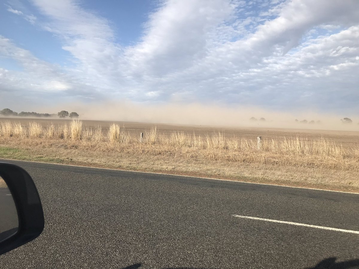 EmGoodall86's tweet photo. Ah the good old days... burn the stubble & full conventional cultivation... and a couple of inches of topsoil on its way to Tasmania! Remind me why glyph & direct drill is the devil again?! #traditional #notbestpractice #duststorm #topsoil #erosion #notsustainable https://t.co/71ZroOoGzD