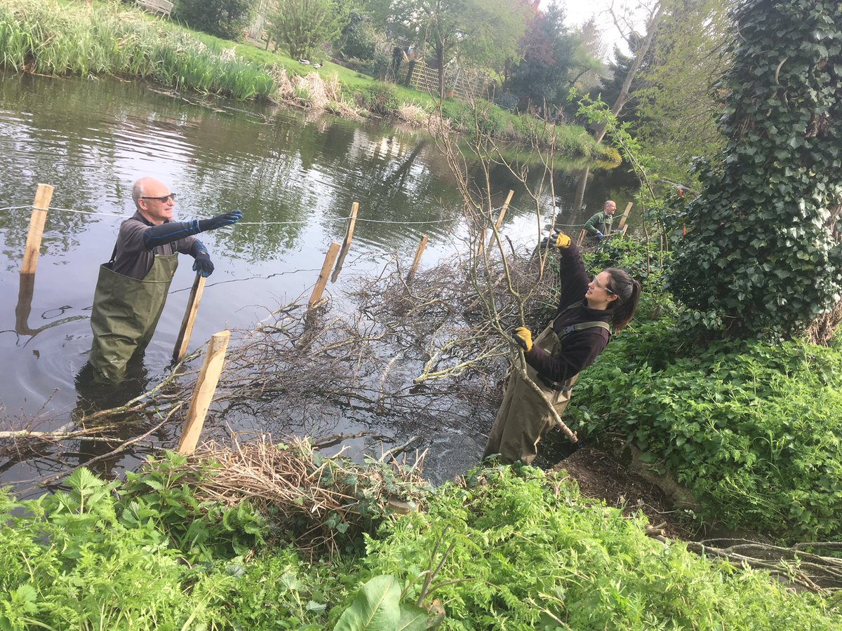 StonebridgeLock's tweet photo. Learning to build brash ledges to create opportunity for increased plant #biodiversity &amp; improving #RiverLea #habitat for wildlife #Wheathampstead with expert &amp; insightful guidance from @WildTroutTrust Rob Mungovan Sarah Perry @HMWTBadger @LeaCatchment Thanks to @thameswater https://t.co/4Oxsm0Obr6