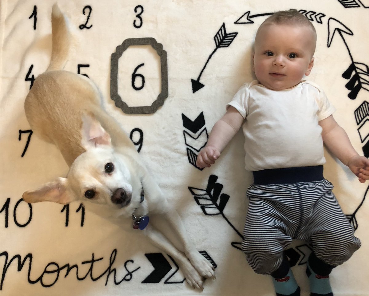 laxincady's tweet photo. What a roller coaster of a day. But the #DuBROs have been #blondebesties for 6 months! #myblondeboys https://t.co/ezs8Tng7Sc