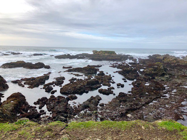 TheTravelSeason's tweet photo. A quick write-up for a quick trip! Check out my new post about a recent bday getaway to the beautiful #MendocinoCoast ~ Link here: https://t.co/pg9c6pJBjD and more on my #InstagramStories @thetravelseason Enjoy! https://t.co/ZBBqx1r9nC