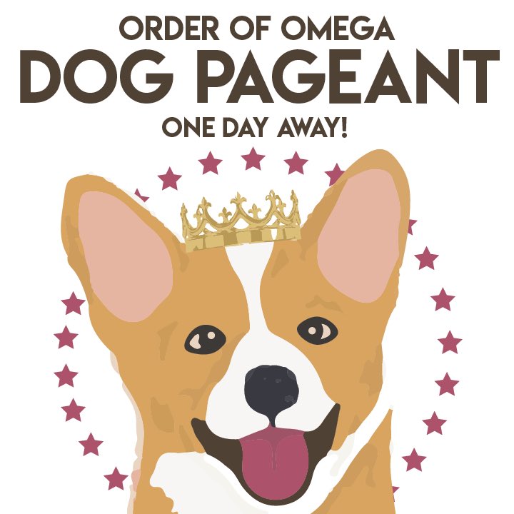 OrderofOmegaCC's tweet photo. The Order of Omega Dog Pageant is 🤩TOMORROW🤩 If you haven’t already registered your dog there’s still time! Come to our event tomorrow at 7 to vote on your favorite pups and show support! #tamucc https://t.co/hhXs8pW9wH