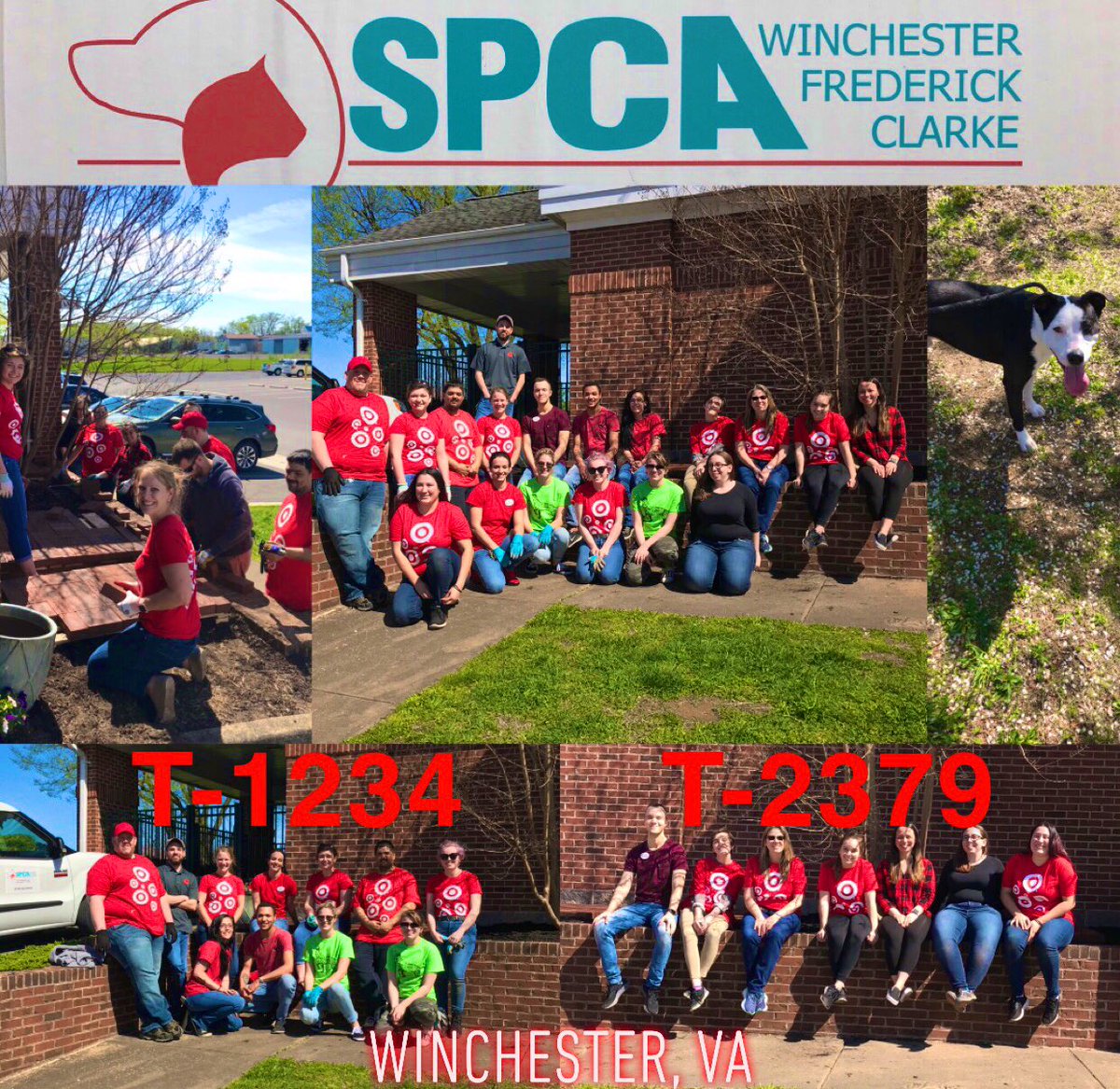 Great afternoon to get two stores together to help out the local SPCA with a landscape project. #R400Community #G499 #D457 #NationalVolunteerMonth <a href="/JayYezzi/">Jay Yezzi</a> <a href="/SextonRob/">Rob Sexton</a> <a href="/laobrien924/">Laura O'Brien</a> <a href="/Shaun_GoPack/">Shaun Simpson</a> <a href="/JHowellwv0506/">Jennifer Howell</a> <a href="/wmwwheels/">Whitney Mrozinski</a> <a href="/stoobeazy/">Steven Stobbe</a> <a href="/ChloeKissinger/">Chloe Kissinger</a> @Sean_ETL