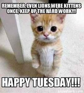 keto_mel's tweet photo. #Happy Tuesday
Hope everyone is having a great Tuesday!!!
#KetoCoachingwithMel #Tuesday #Keto #Ketogenic #TheKetoDiet #TheKetogenicDiet https://t.co/oAsVhJ8KF7