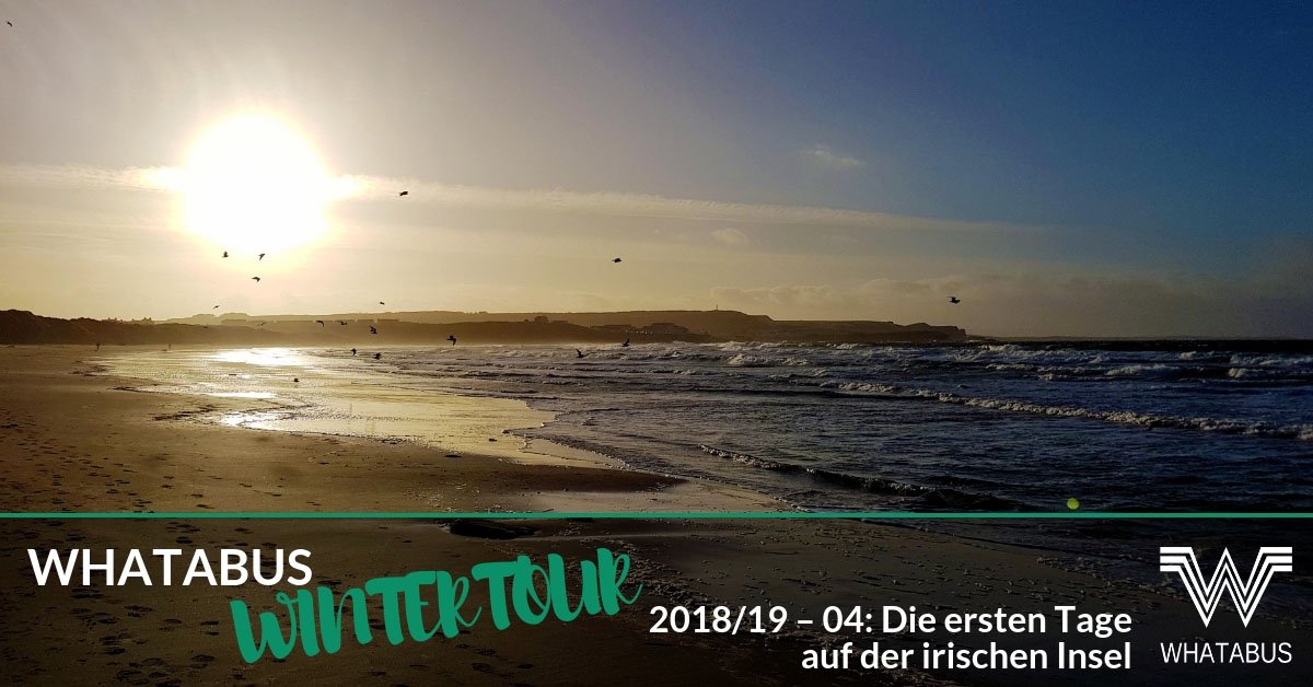 whatabus_de's tweet photo. #WHATABUS auf der irischen #Insel und mit der Republik #Irland in Land Nr. 43.
Was wir in den ersten Tagen auf der Insel getrieben haben, samt ein paar bebilderten Eindrücken, gibt es in diesem Tourbericht von der #Wintertour.
https://t.co/aMh9wJmIbB
#ireland #inselhopping https://t.co/SzeIY6Rwpz