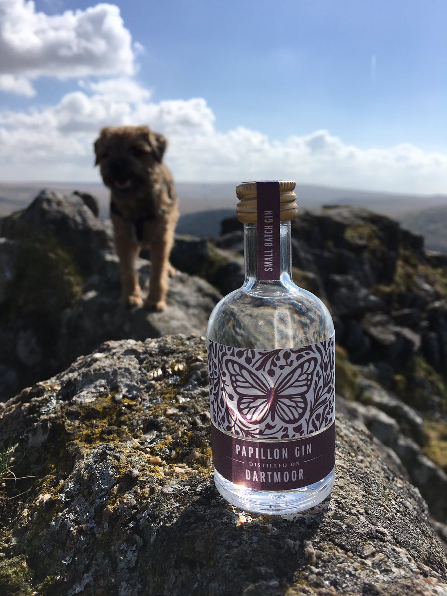 Papillon Gin tweet media