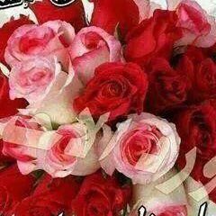 Saleoomnz8's tweet photo. #صورة_جديدة_للملف_الشخصي https://t.co/3GhQ9s39HJ