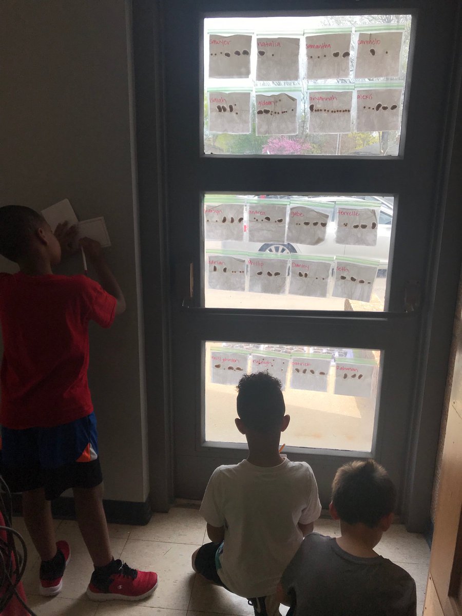 LJohnsonTeacher's tweet image. Busy bees! Scientific method! #3tepride #weR2ndgrade #isdstrong #kcedu #greenthumbs @3TrailsTigers @ISDSchools @isdscience