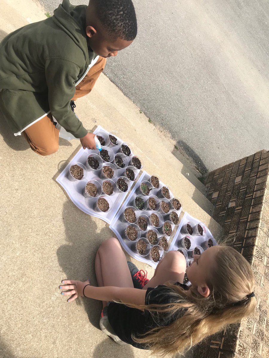 LJohnsonTeacher's tweet image. Busy bees! Scientific method! #3tepride #weR2ndgrade #isdstrong #kcedu #greenthumbs @3TrailsTigers @ISDSchools @isdscience