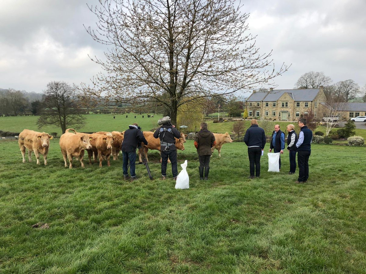 waterfordrandj's tweet photo. A beautiful morning spent filming at R&amp;J Yorkshire’s Finest and Waterford Farm with @AdamHenson and @MichaelWignall_ for @BBCCountryfile spring special. @RyanAtkinson20 #Countryfile #yorkshiresfinest https://t.co/hzROhmxJED