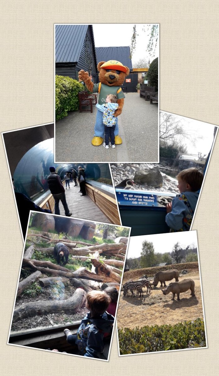 jo_wearing's tweet photo. Amazing day out yesterday @ColchesterZoo so many beautiful animals. #Makingmemories #familytime https://t.co/MyY10YucEn