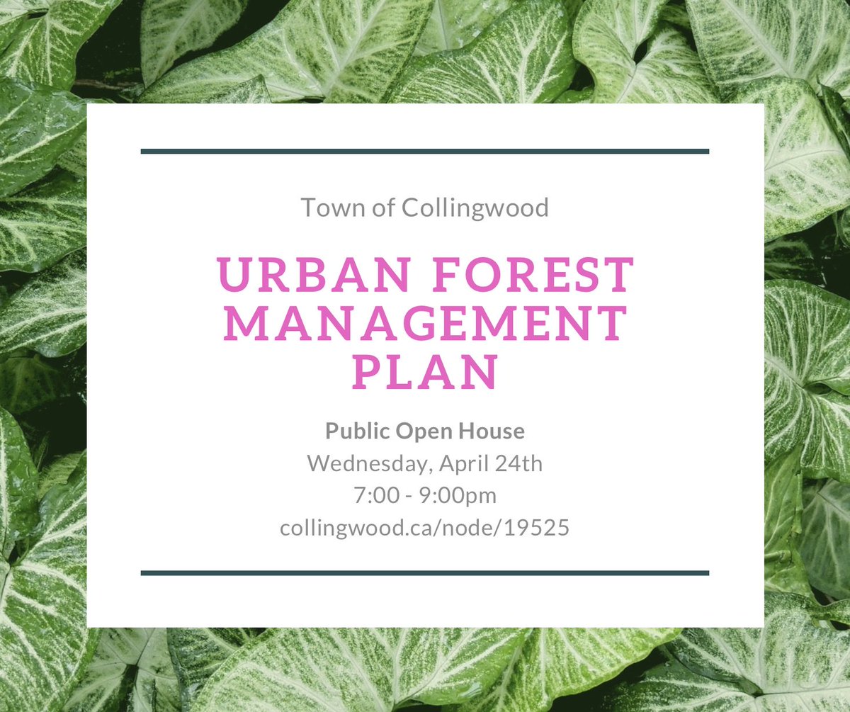 The Town of Collingwood will be hosting a Public Open House to introduce their Urban Forest Management Plan.   Deets here:  ow.ly/Z6Xk50qtXZq