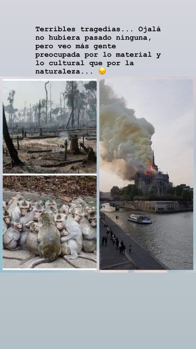 Betocastillo73's tweet photo. Terribles tragedias... Ojalá no hubiera pasado ninguna, pero veo más gente preocupada por lo material y lo cultural que por la naturaleza... 😞 https://t.co/lwHhzpLoGx