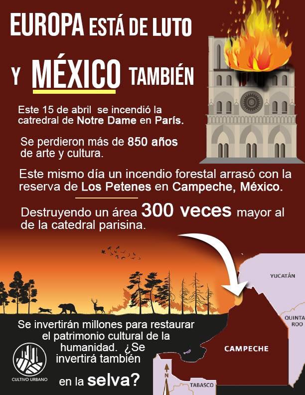 Betocastillo73's tweet photo. Terribles tragedias... Ojalá no hubiera pasado ninguna, pero veo más gente preocupada por lo material y lo cultural que por la naturaleza... 😞 https://t.co/lwHhzpLoGx
